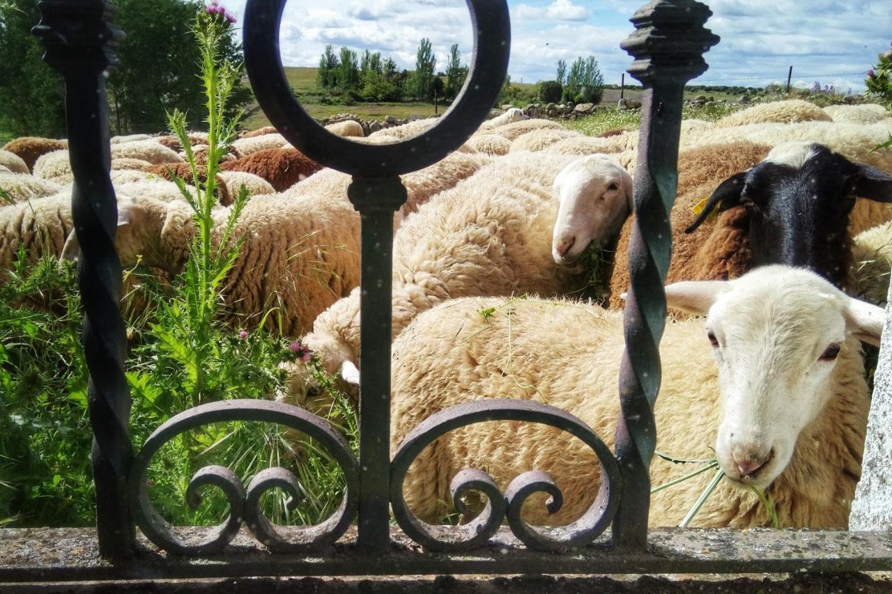 Casa Quevedo Hébergement de vacances